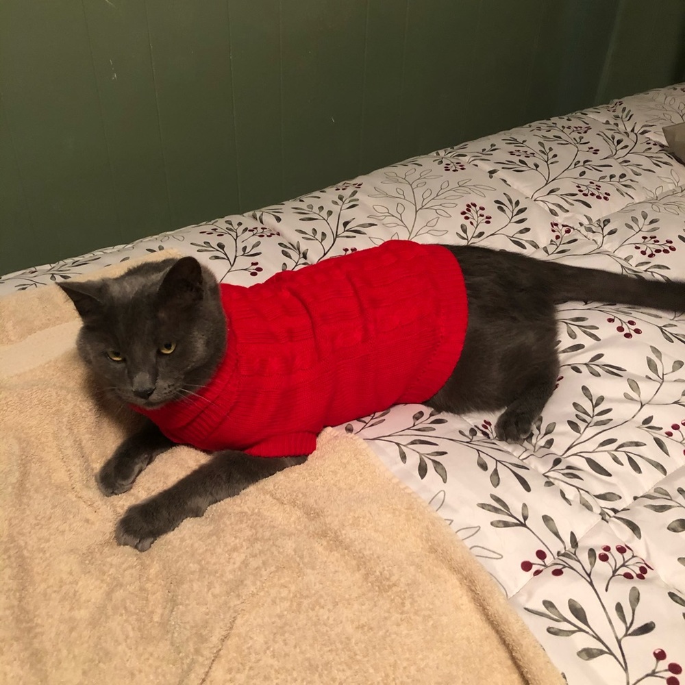 Meet your Posher, Joseph